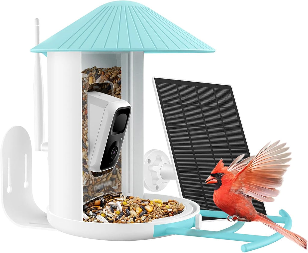 Smart Bird Feeder with Camera and Solar Panel Y11256