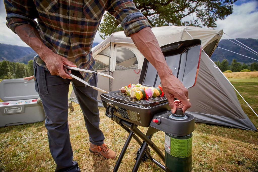 Portable 1-Burner Propane Grill I13959