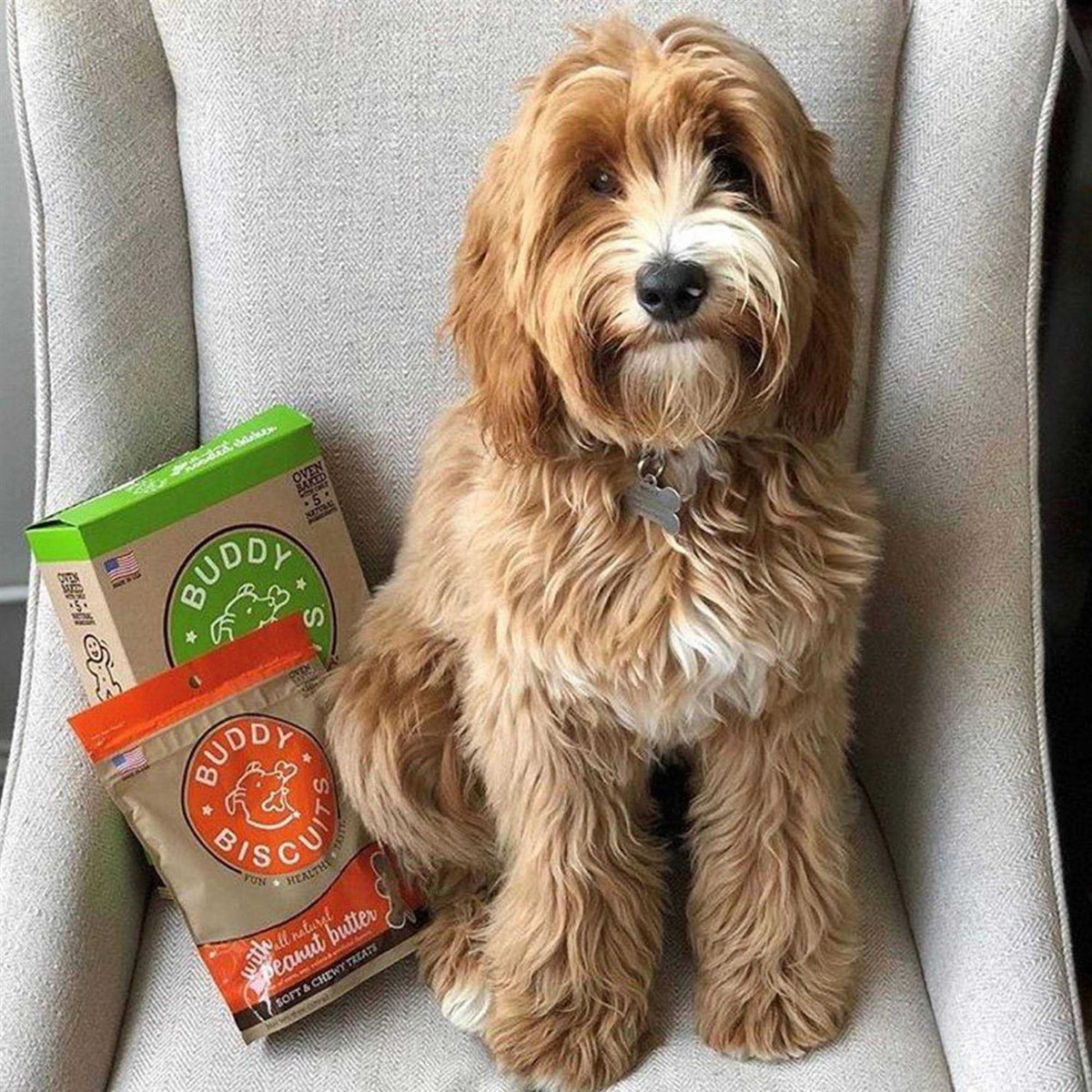 Peanut Butter Soft and Chewy Dog Treats R936690
