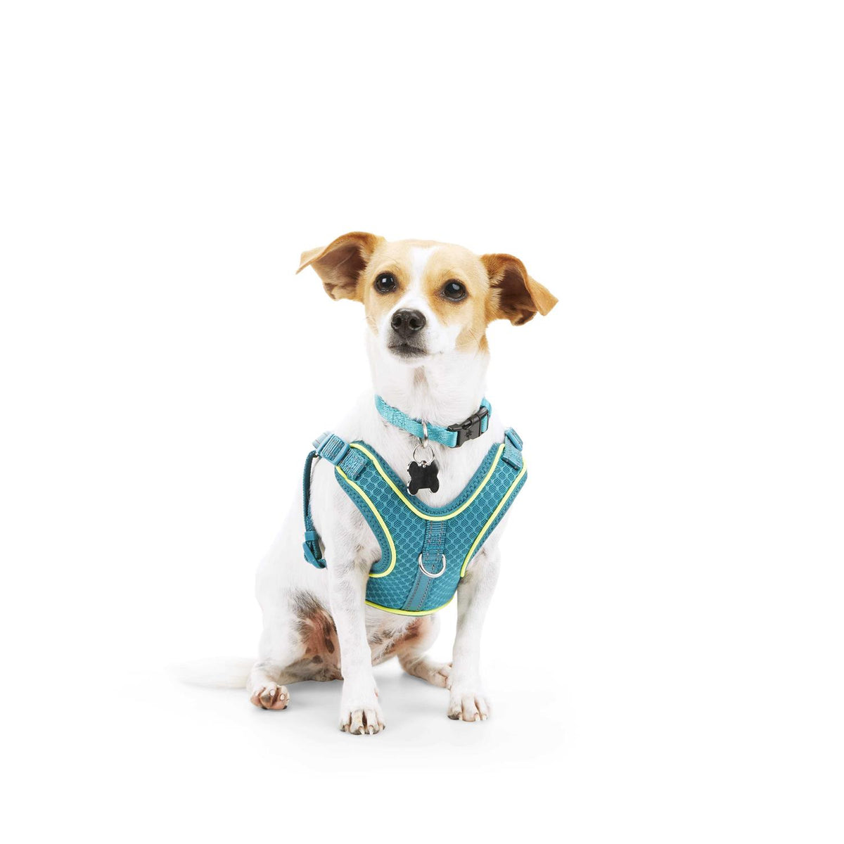 Reflective Dog Harness X451