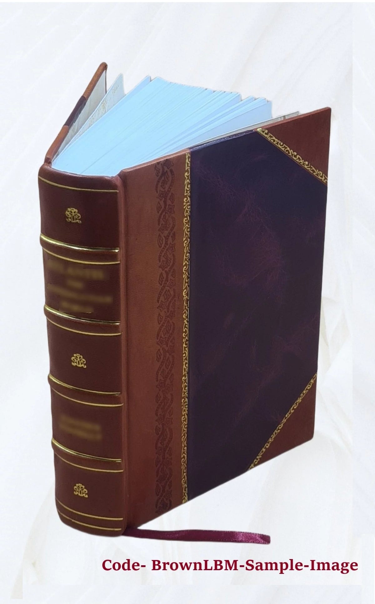 Leather Bound Book Q733363