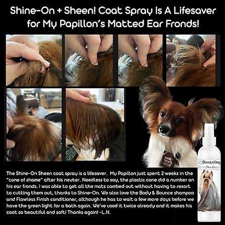 All Natural Leave-in Conditioner and Coat Detangler for Dogs Y81789