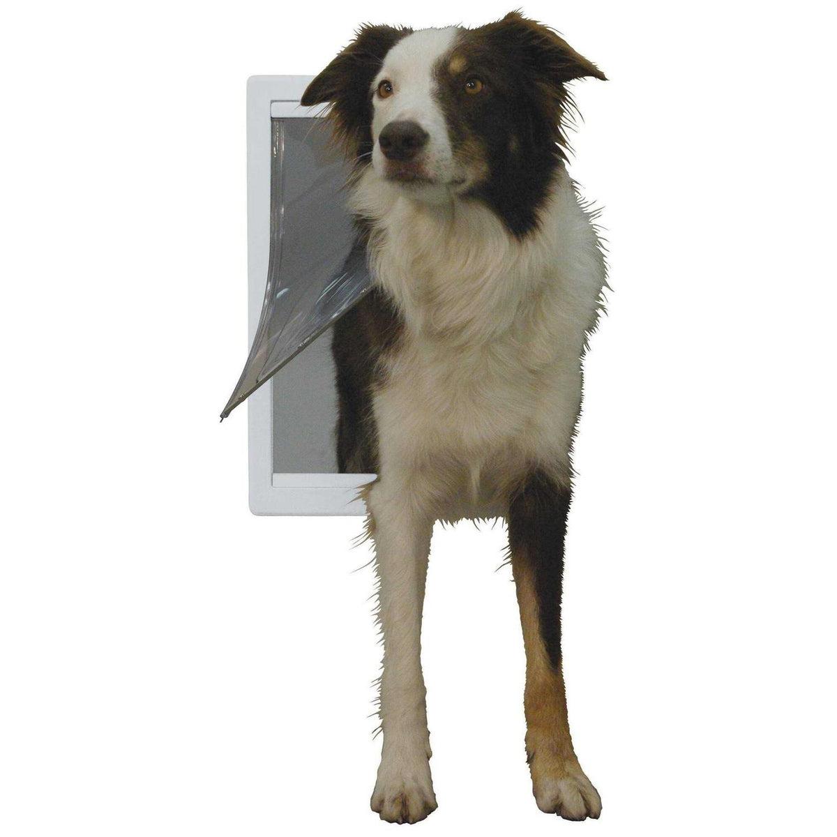Plastic Pet Door E551631
