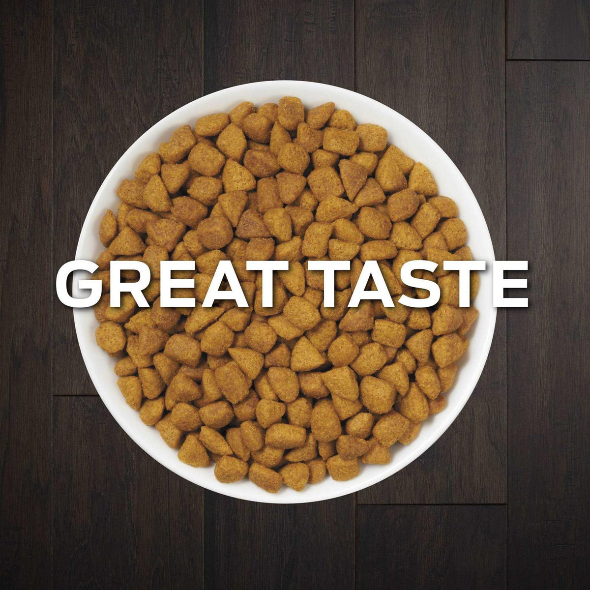Urinary Dry Cat Food X628