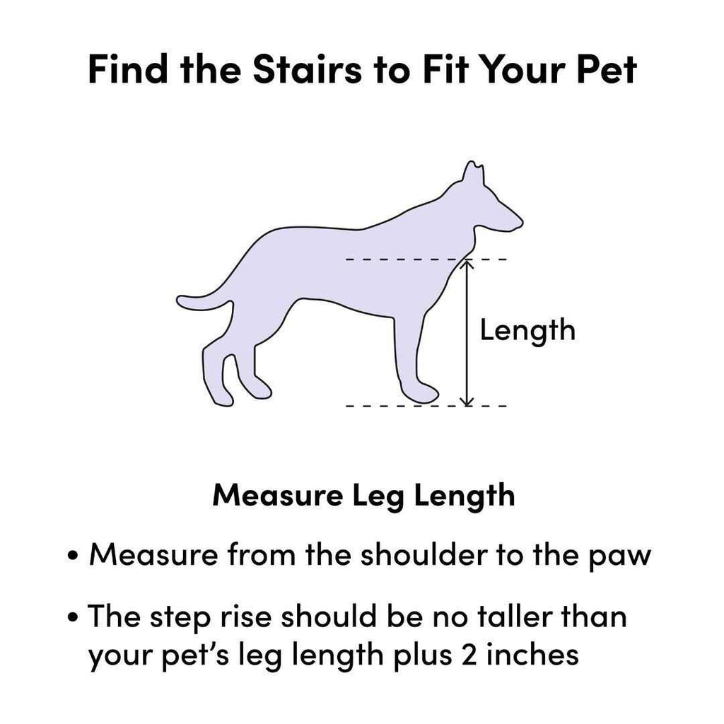 2 Step Pet Stair F819385