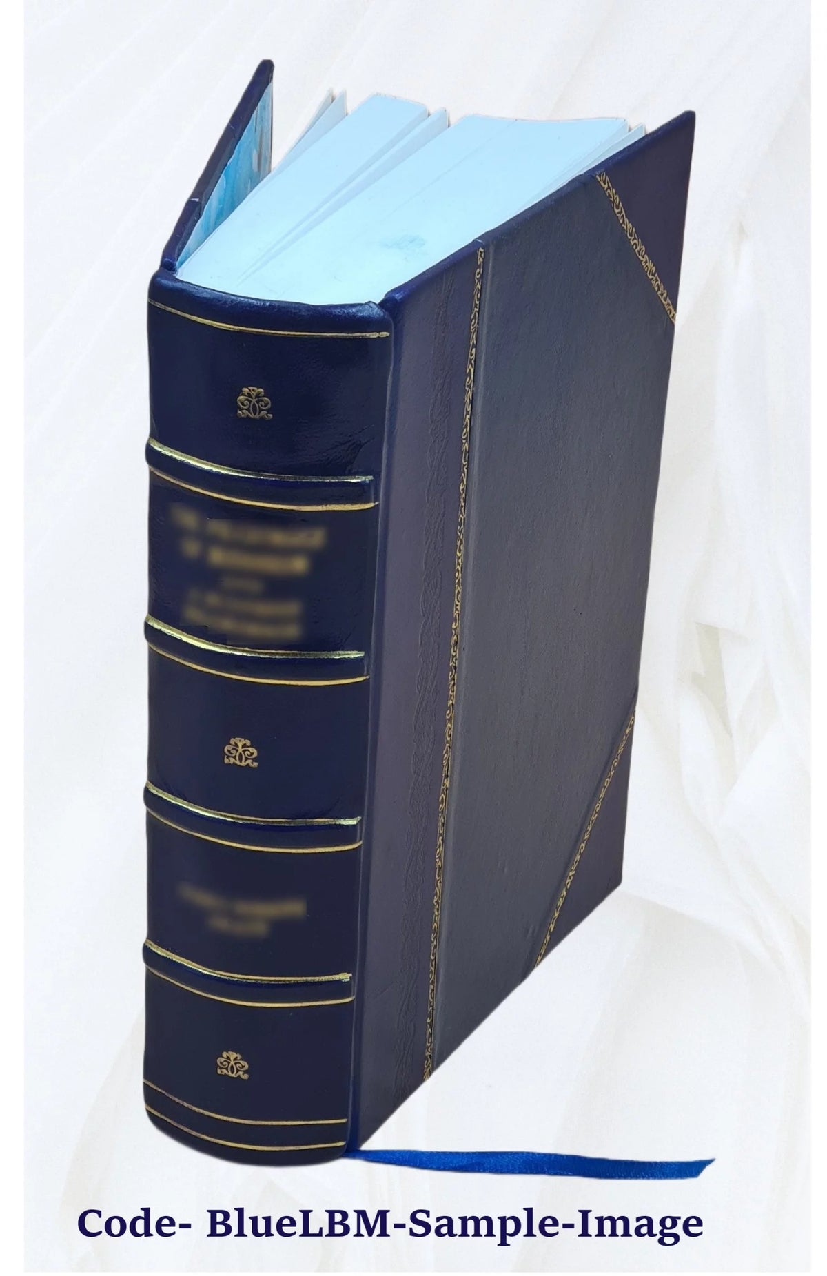 Leather Bound Book Q733363