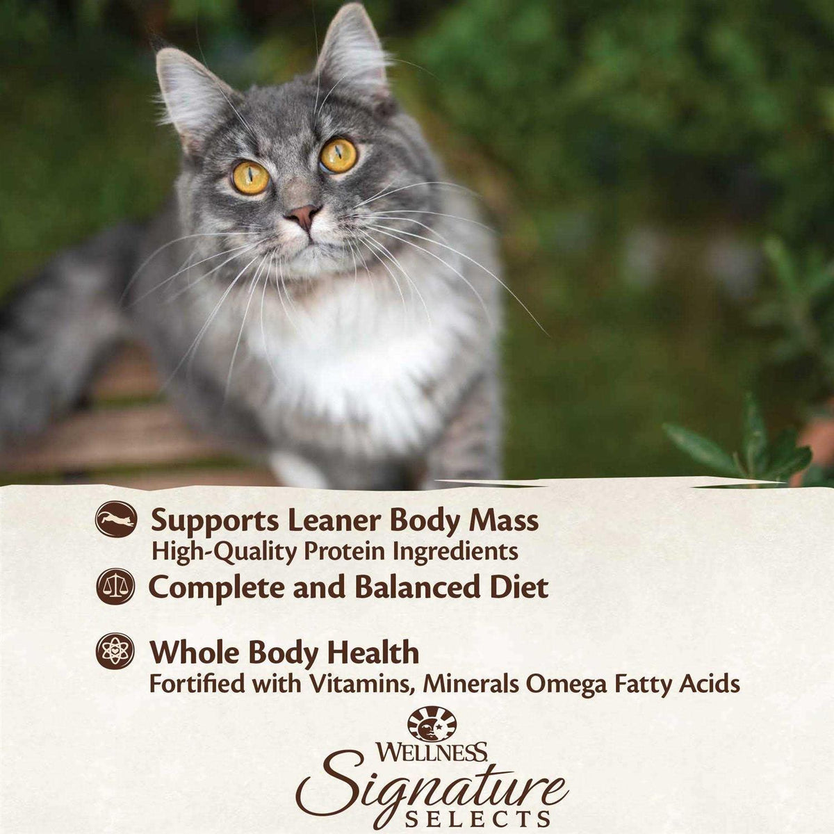 Natural Grain Free Cat Food Tuna & Salmon U5817