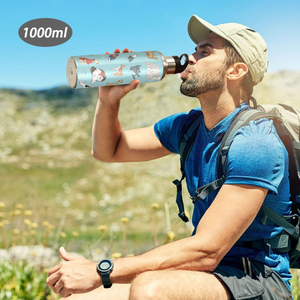 20 oz Insulated Stainless Steel Water Bottle with Straw Lid T3744