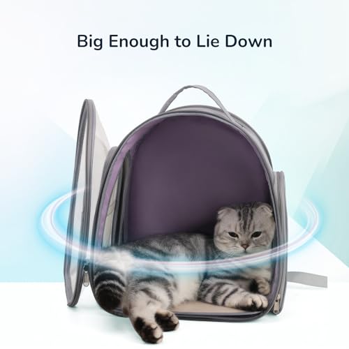 Clear Cat Carrier Backpack F176672
