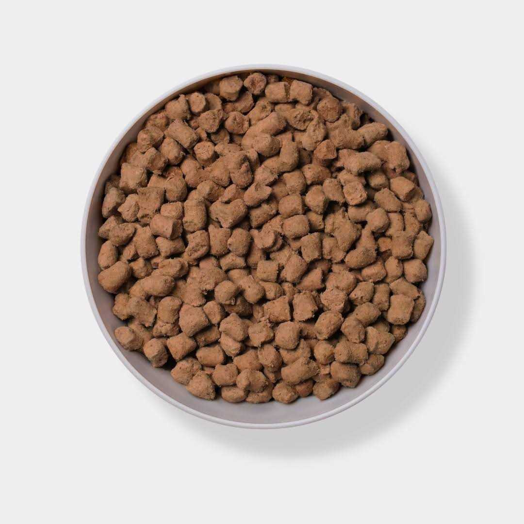 Freeze Dried Raw Beef Dog Food V821474