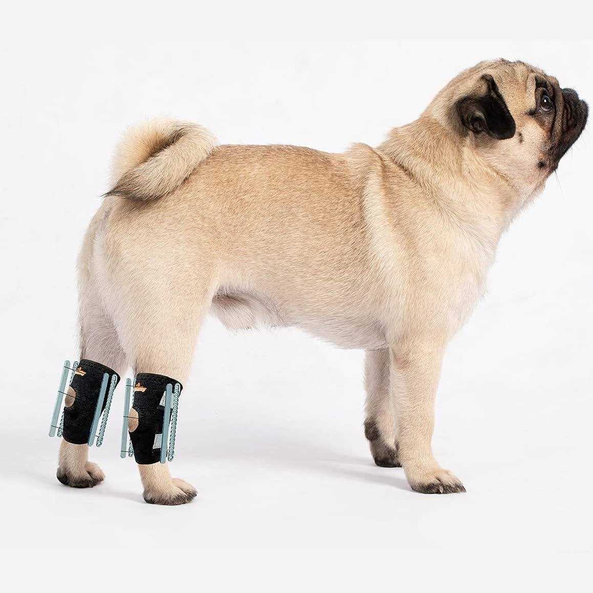 3-in-1 Short Rear Leg Support Small Dog Splint Braces Z324818
