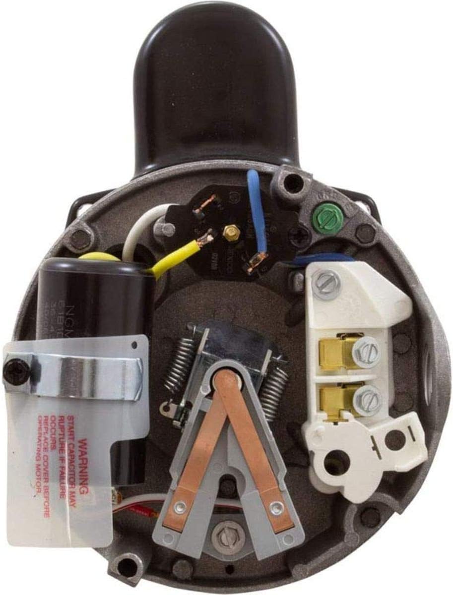 2.5 HP Square Flange Threaded Shaft Pool Pump Motor V67397