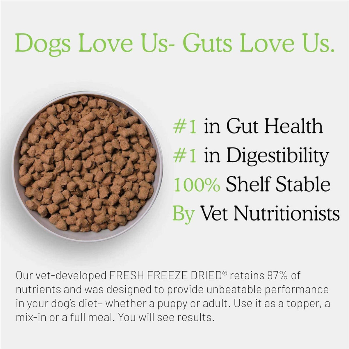 Freeze Dried Raw Beef Dog Food V821474