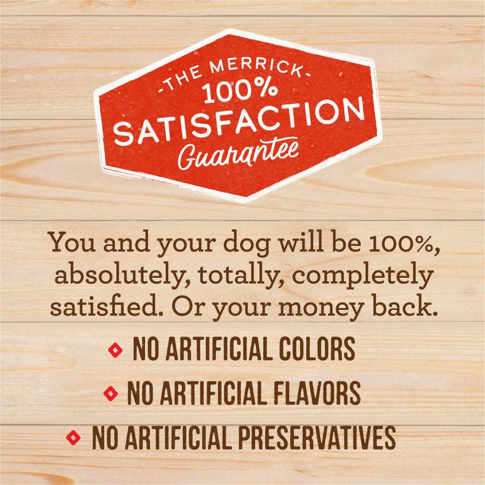 Puppy Recipe Dry Dog Food S9325
