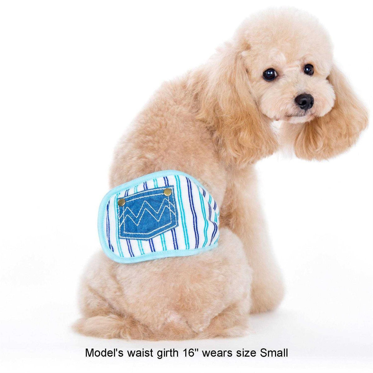 Pet Belly Band R8124