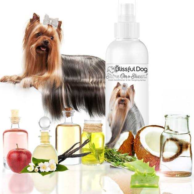 All Natural Leave-in Conditioner and Coat Detangler for Dogs Y81789
