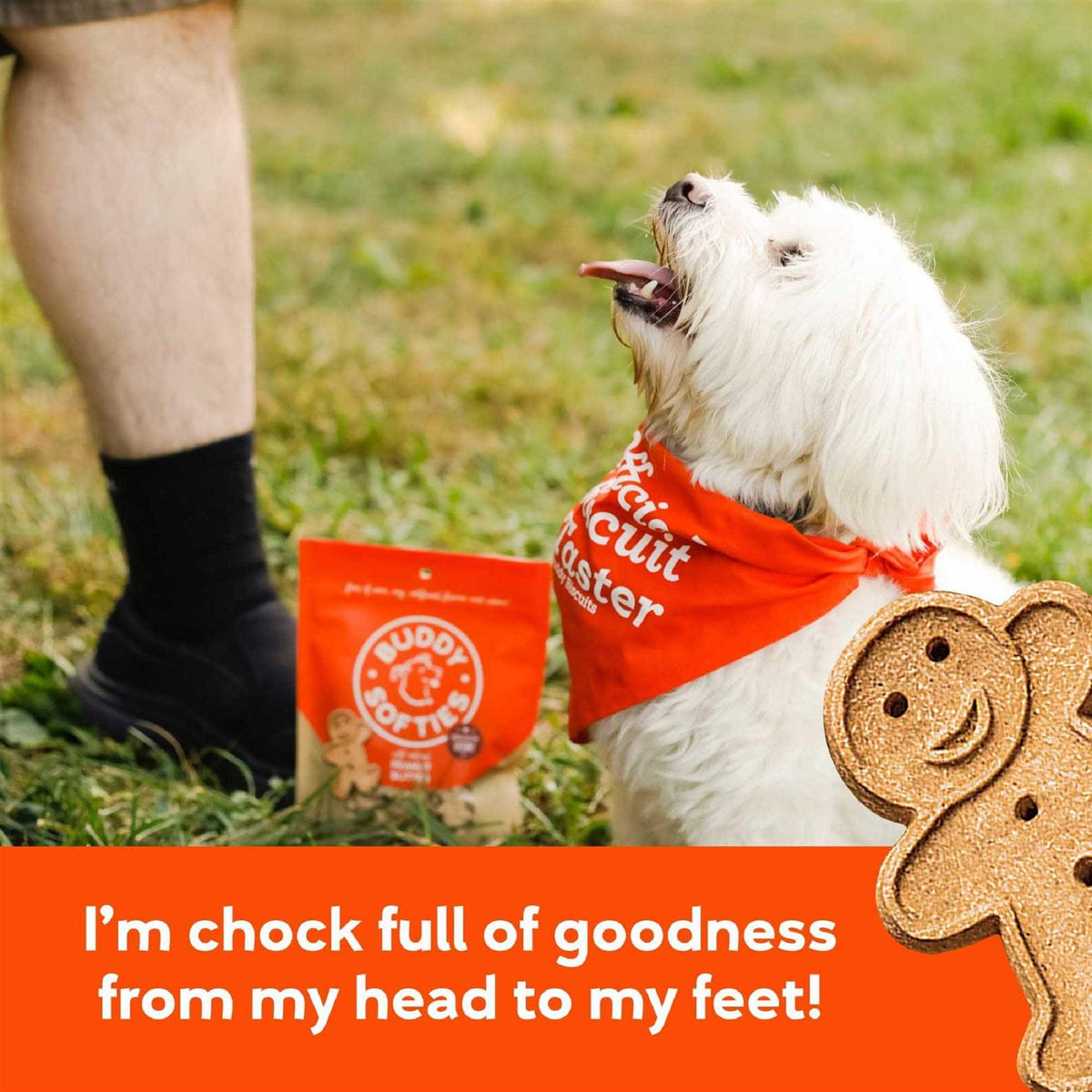 Peanut Butter Soft and Chewy Dog Treats R936690