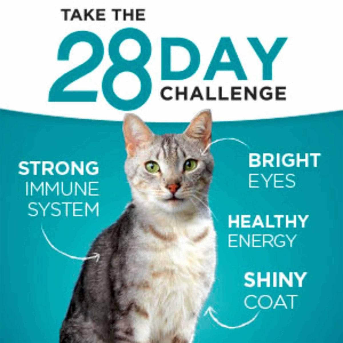 Indoor Advantage Natural Cat Food Ocean Whitefish & Rice R359