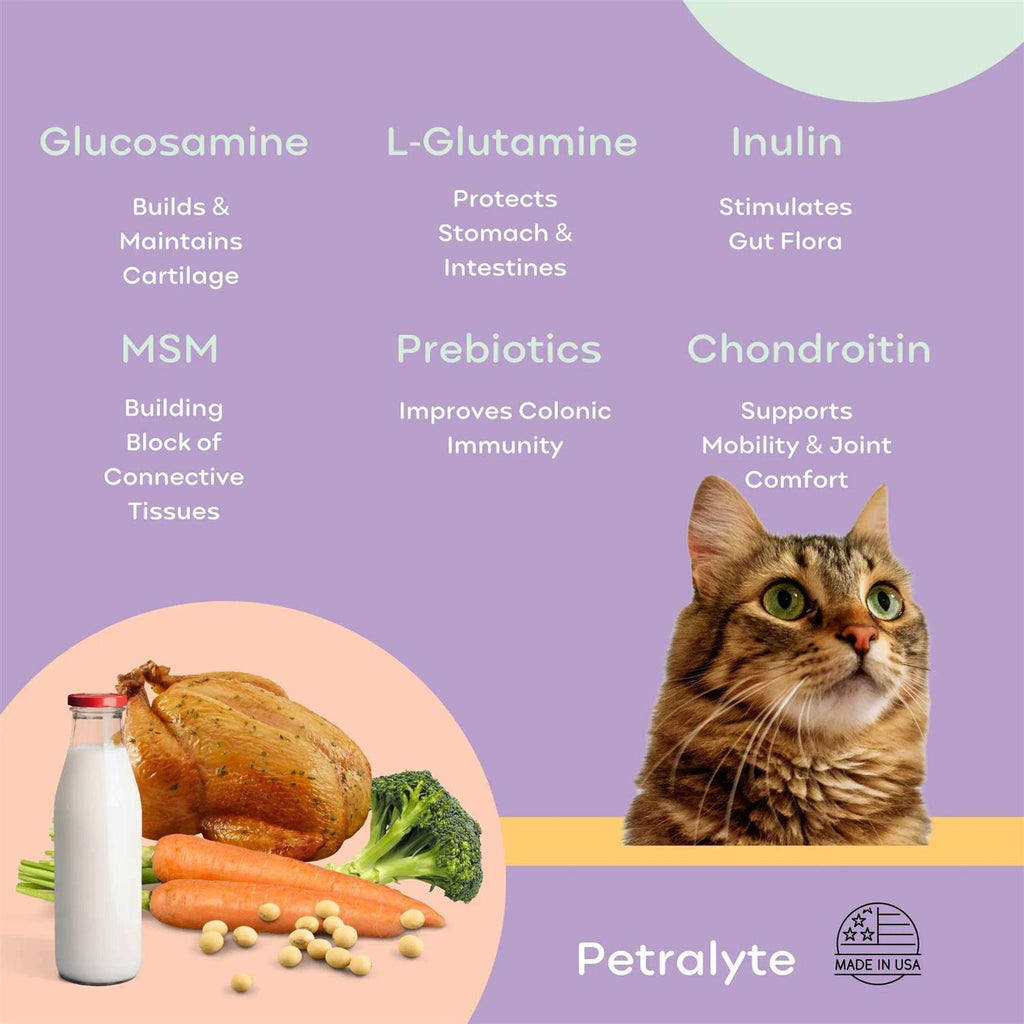 Cat Electrolyte and Joint Supplement S622886