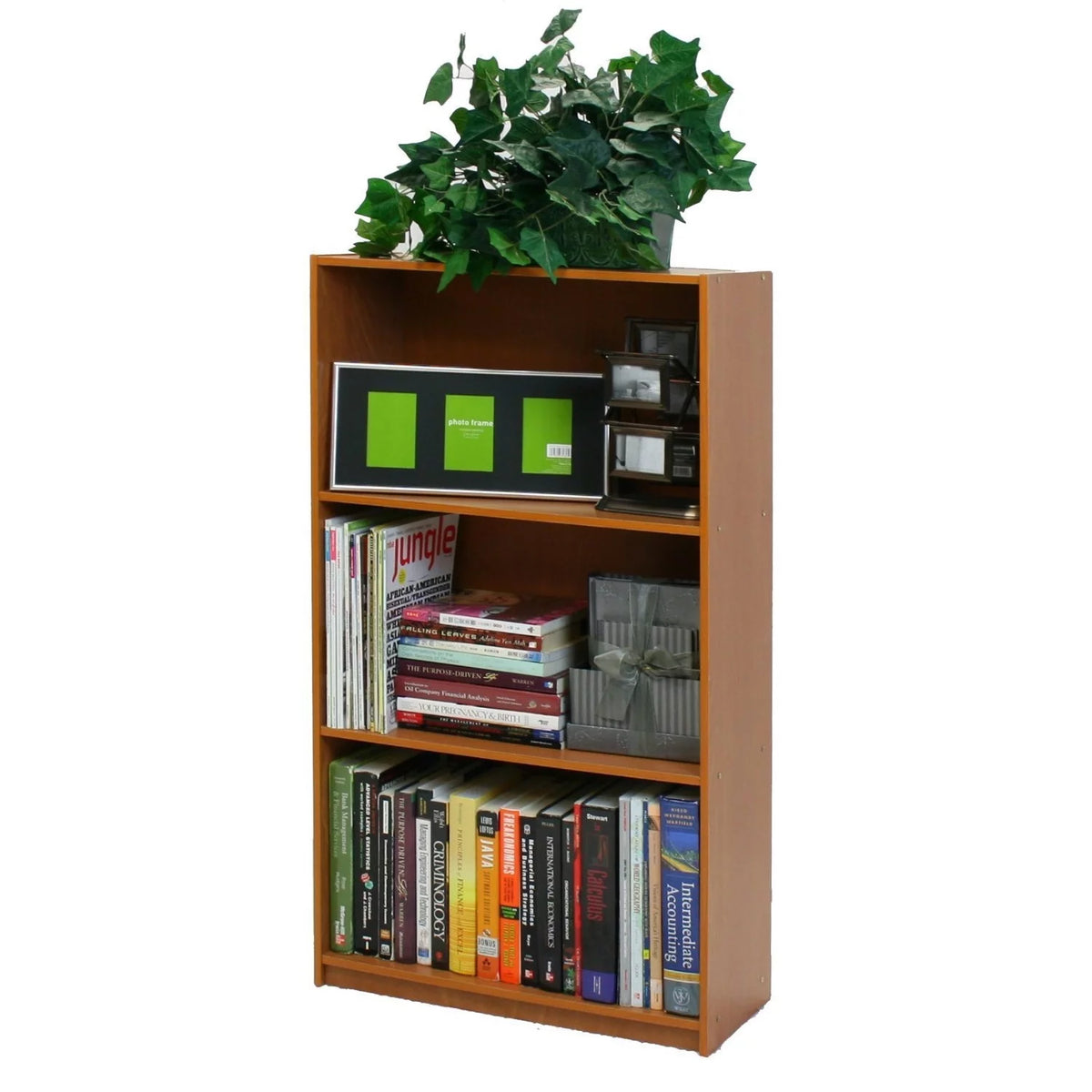 3-Tier Storage Shelves Bookcase T80743