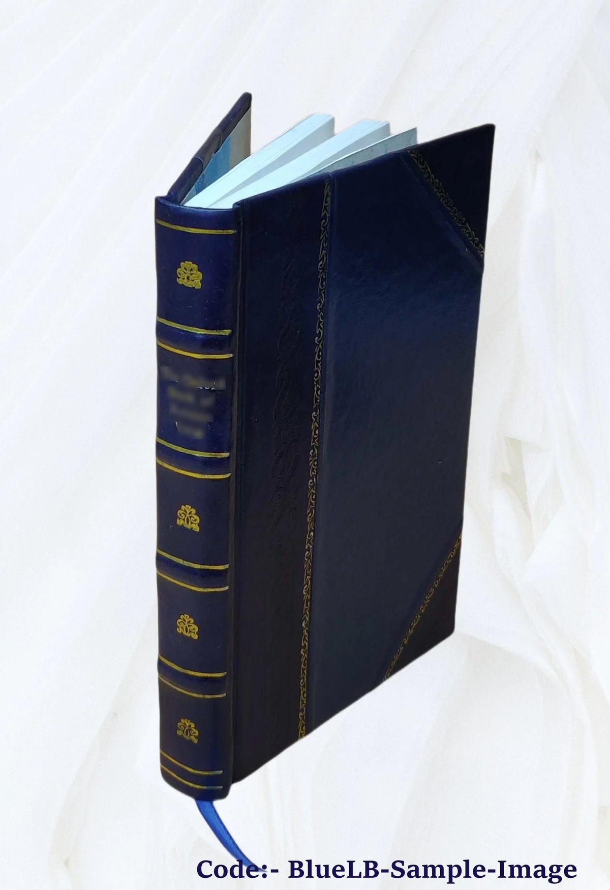 Leather Bound Book J937073