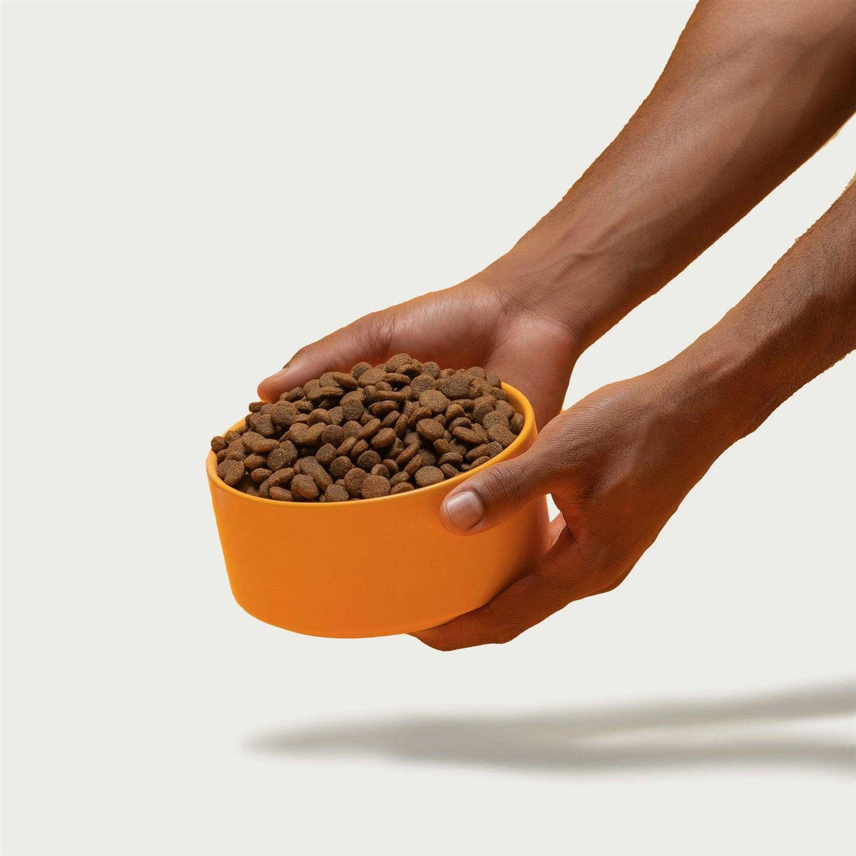 Chicken Brown Rice & Sweet Potato Dry Dog Food D563578
