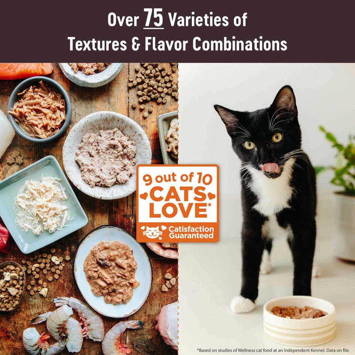 Natural Grain Free Cat Food Tuna & Salmon U5817