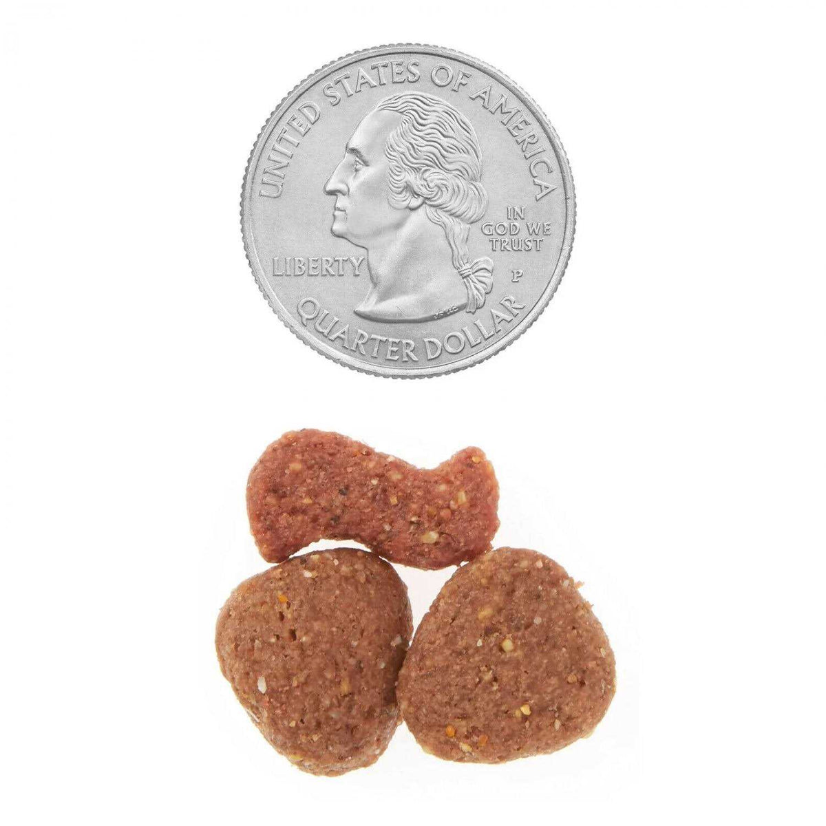 T-Bone & Bacon Flavor Dry Dog Food D9372