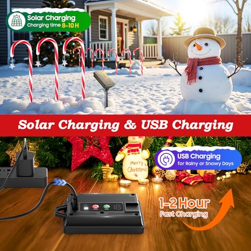 24 Pack Solar Candy Cane Lights Outdoor Christmas Decorations G175193