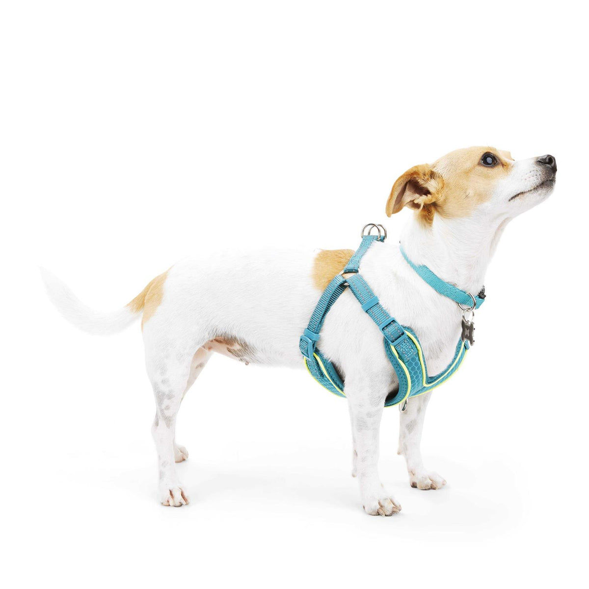 Reflective Dog Harness X451