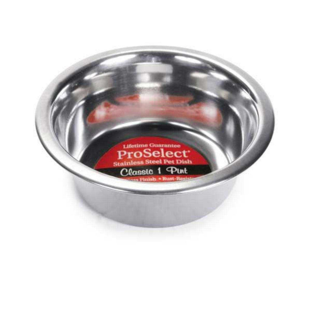 Stainless Steel Dog Bowl H844466