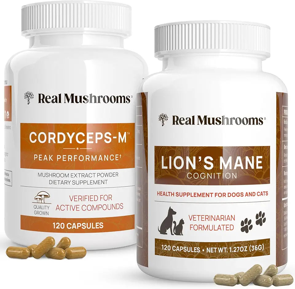 Cordyceps and Lions Mane Mushroom Extract Supplements 120ct Q580322