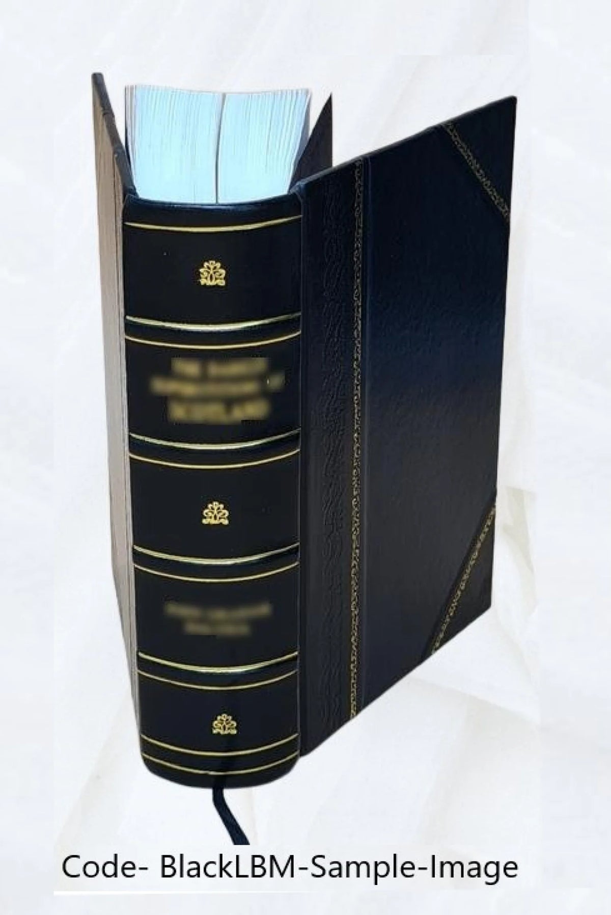Report on the barge canal from the Hudson River to the Great Lakes, February 12, 1901. Volume v.1 1901 [Leather Bound] X8089