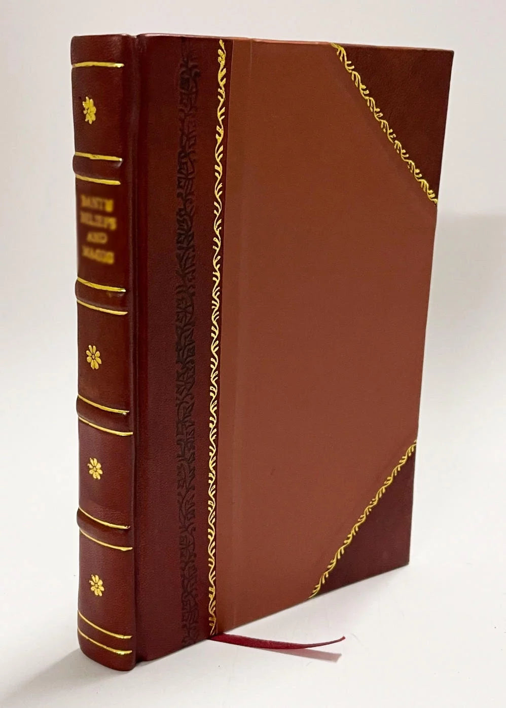 English Language Lexicon Leather Bound D526068