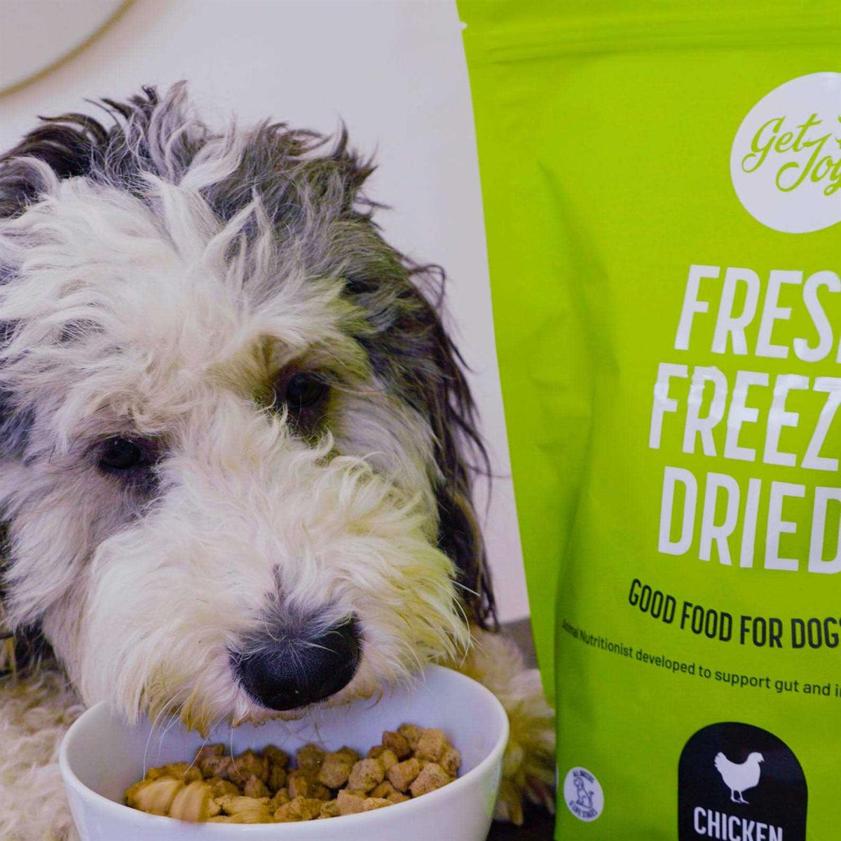 Freeze Dried Raw Beef Dog Food V821474