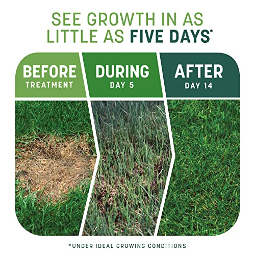 Tall Fescue Mix 10 lb K9570