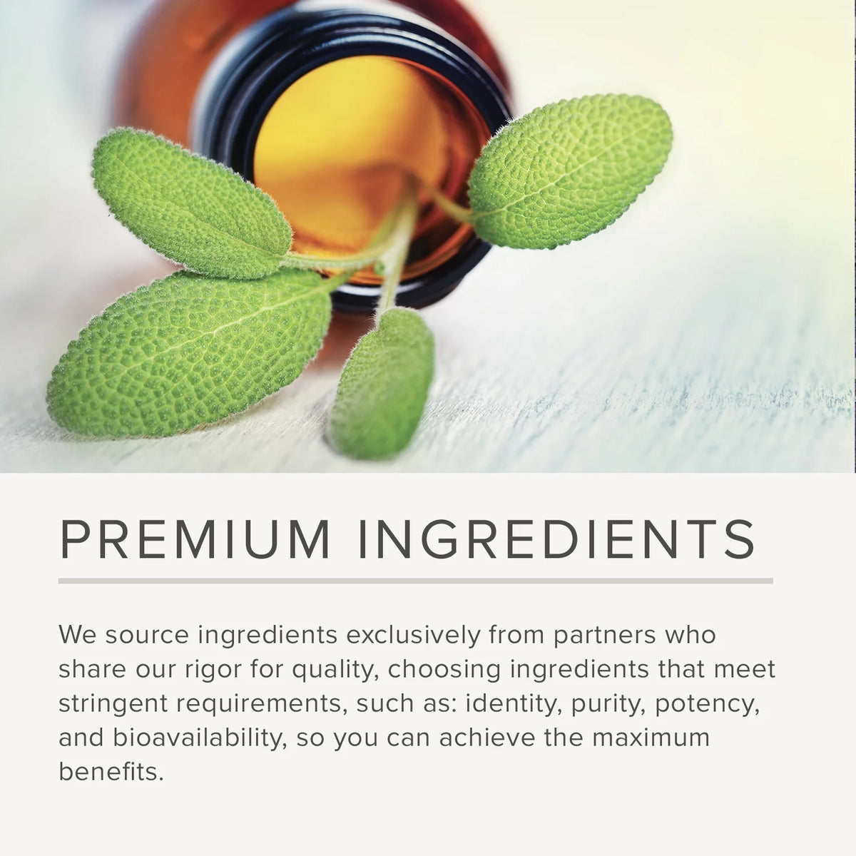 Lipase Enzyme Supplement 90 Vegan Capsules O477380