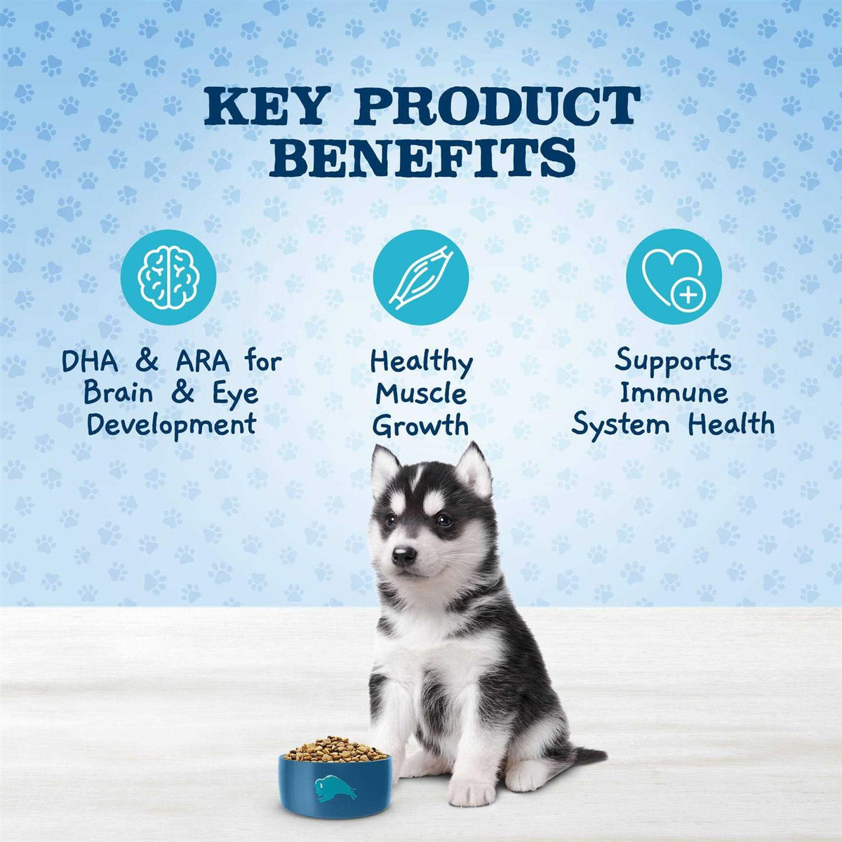 High Protein Chicken Puppy Dog K650