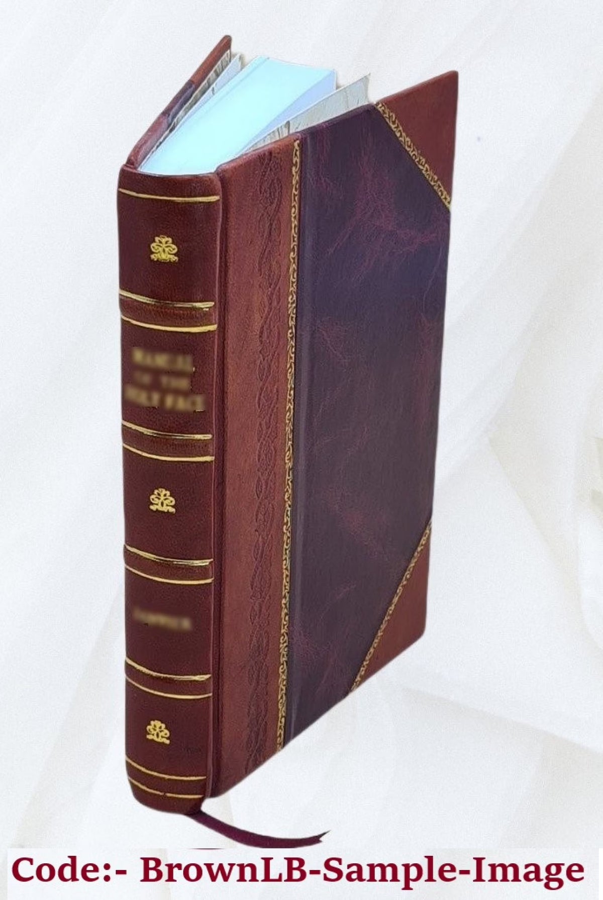 Leather Bound Book B84341