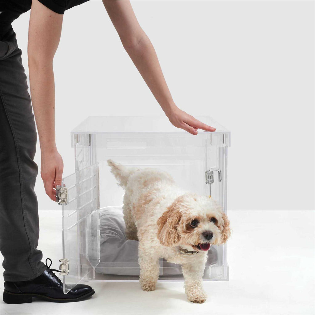 Clear Dog Crate to Gate X699