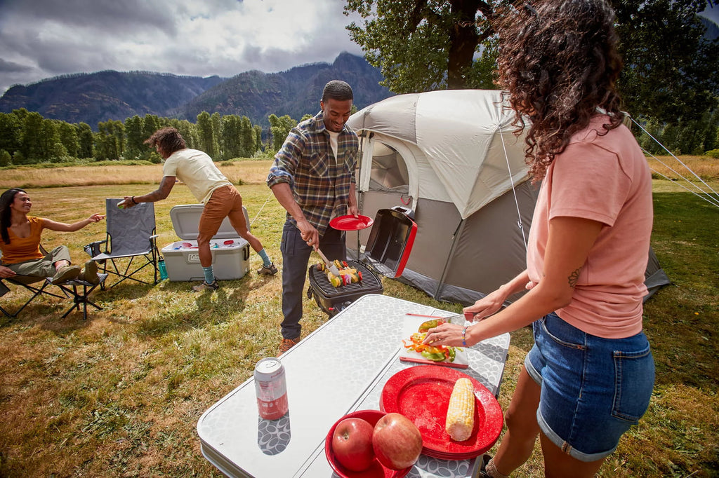 Portable 1-Burner Propane Grill I13959