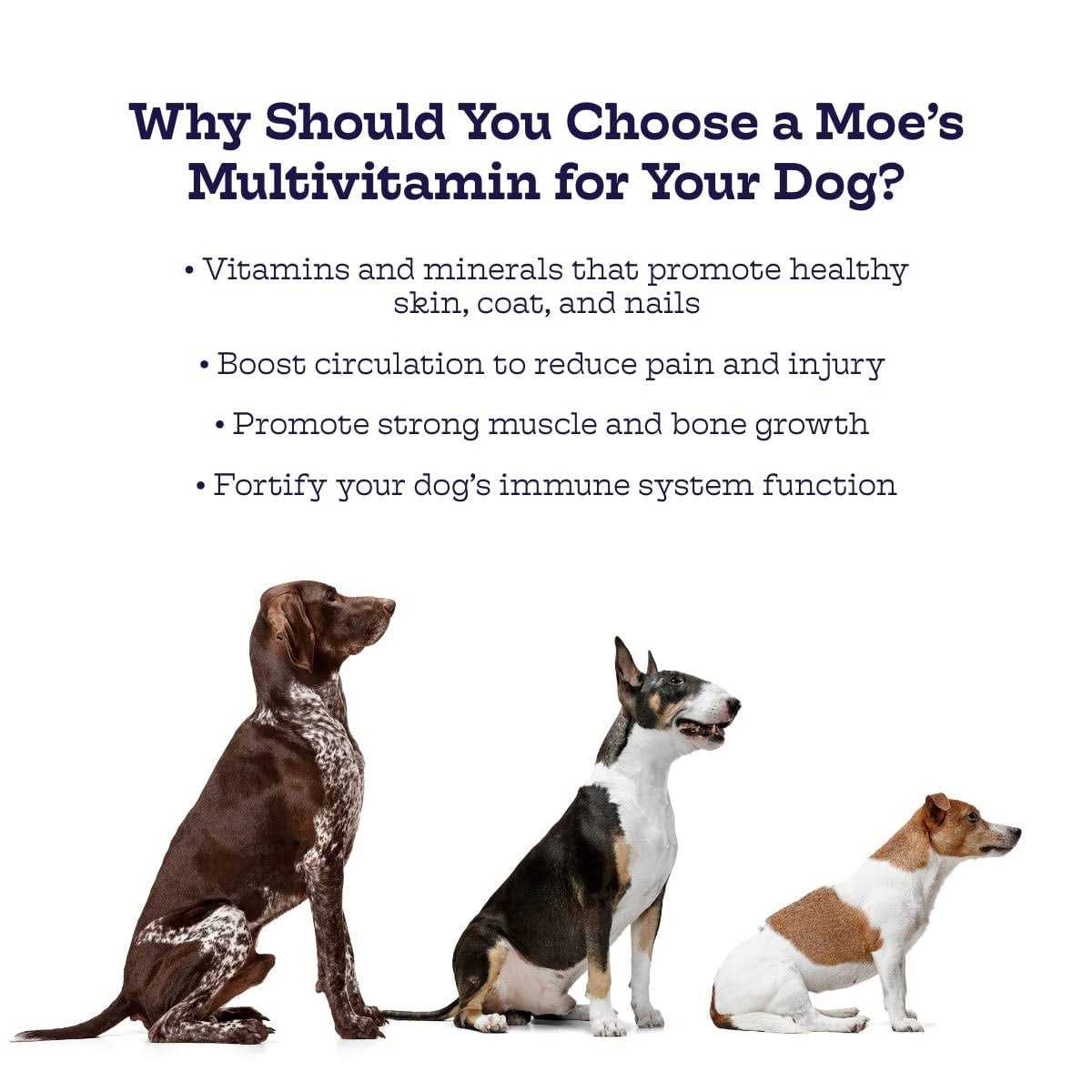 Dog Supplement B7801