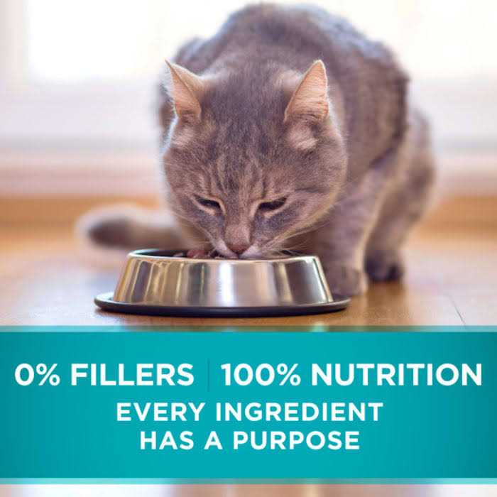 Indoor Advantage Natural Cat Food Ocean Whitefish & Rice R359