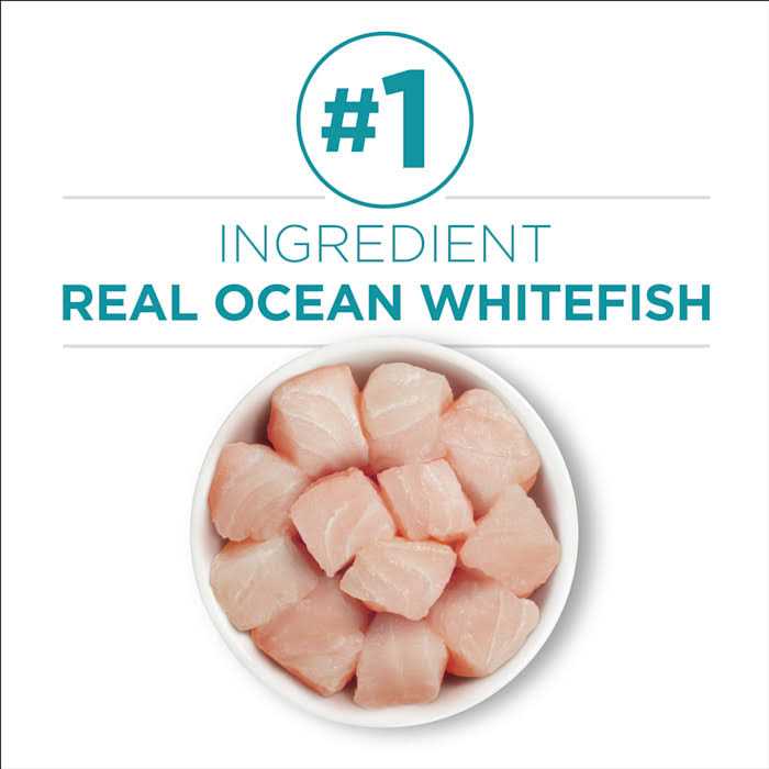 Indoor Advantage Natural Cat Food Ocean Whitefish & Rice R359