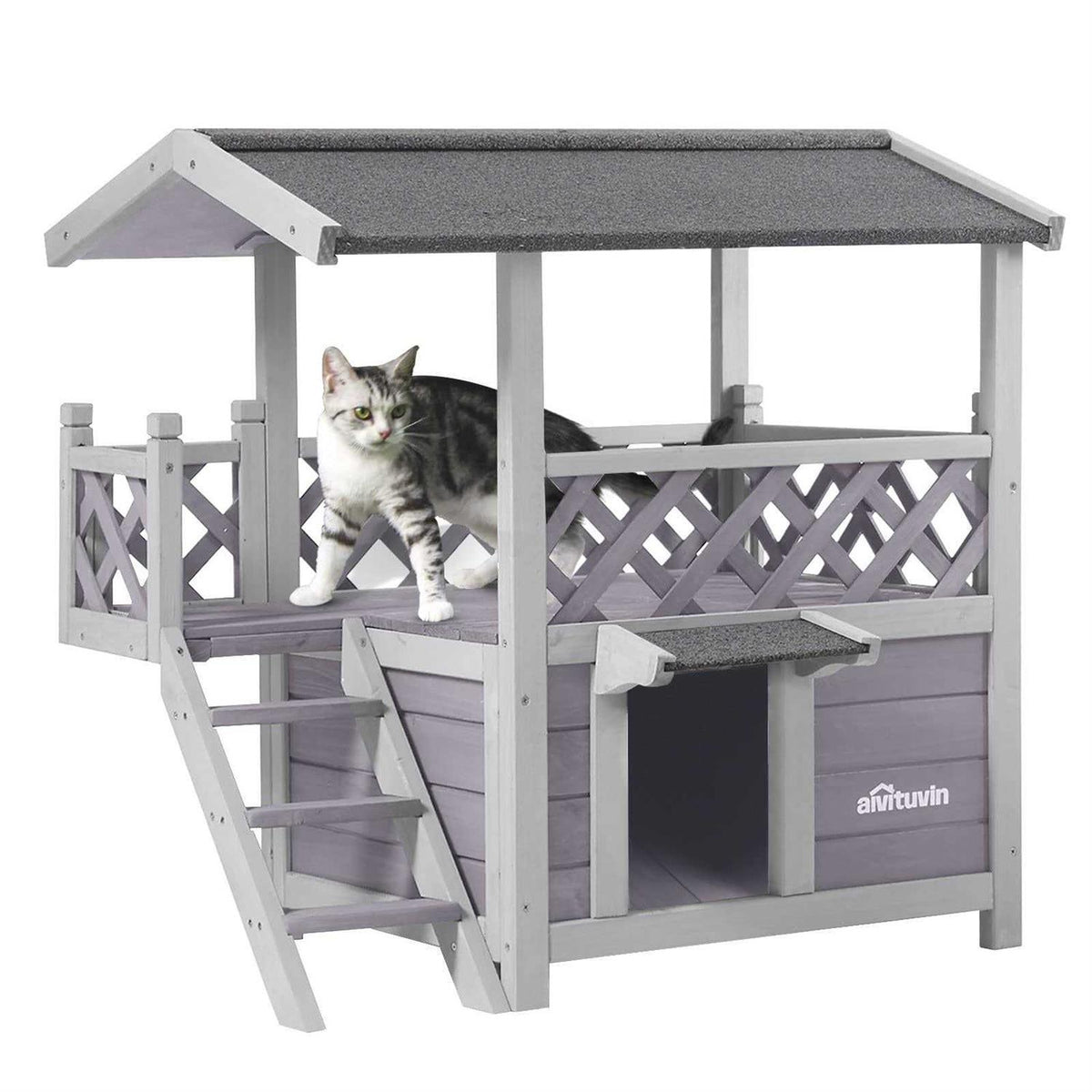 Outdoor Indoor Cat House with Escape Door W2984