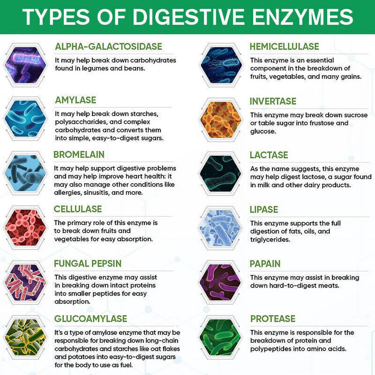 Probiotic Digestive Multi Enzymes 1200 mg 60 Capsules P34052