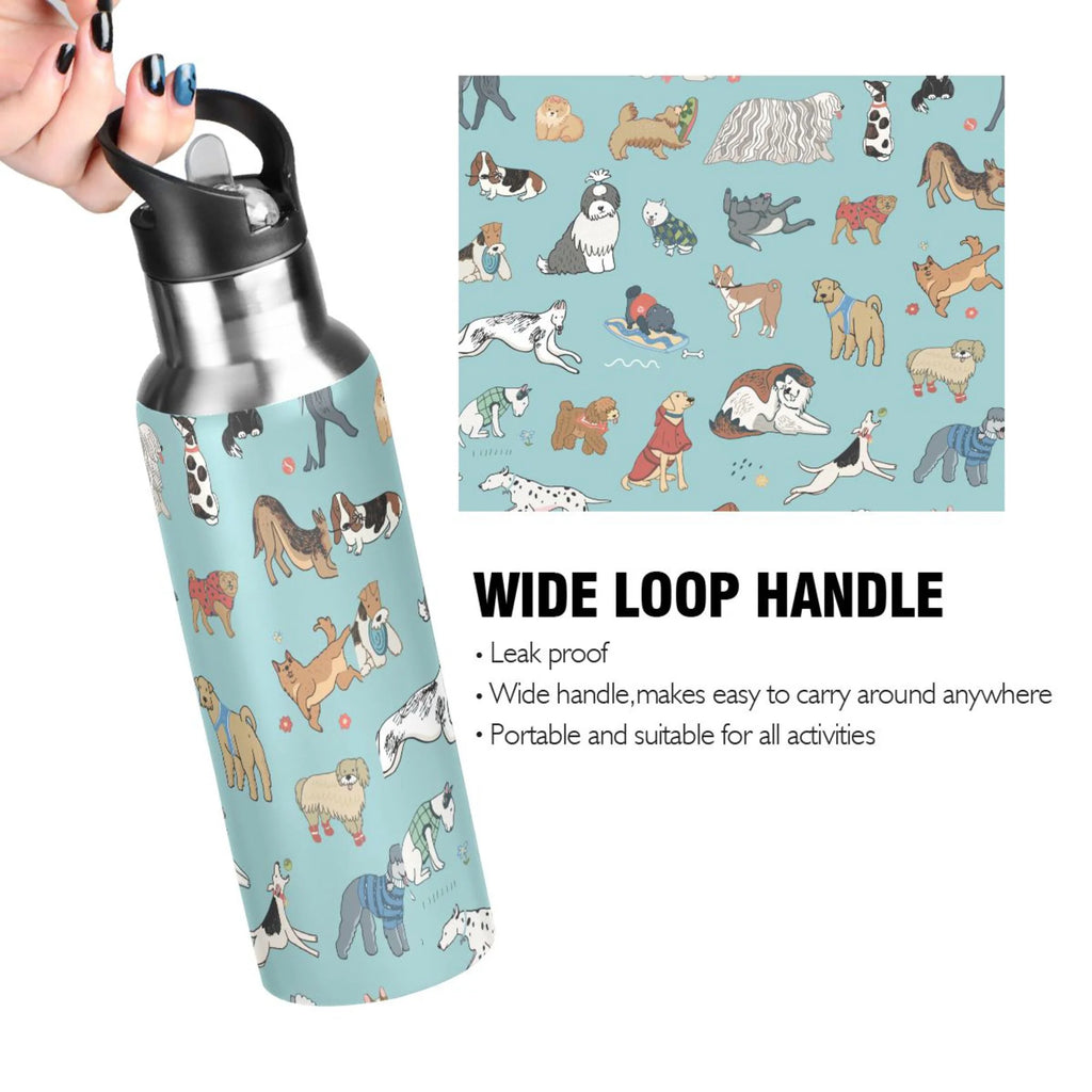 20 oz Insulated Stainless Steel Water Bottle with Straw Lid T3744