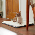 Self-Warming Reversible Cat & Dog Mat O624