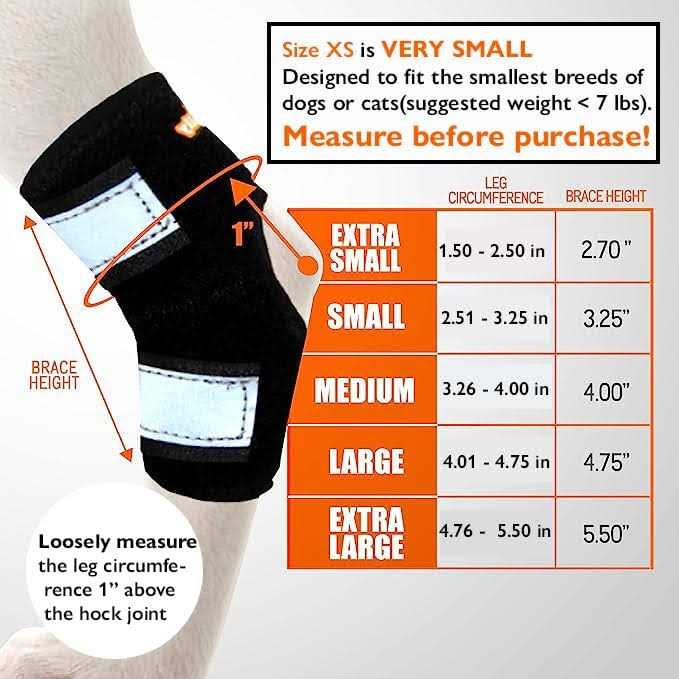 3-in-1 Short Rear Leg Support Small Dog Splint Braces Z324818