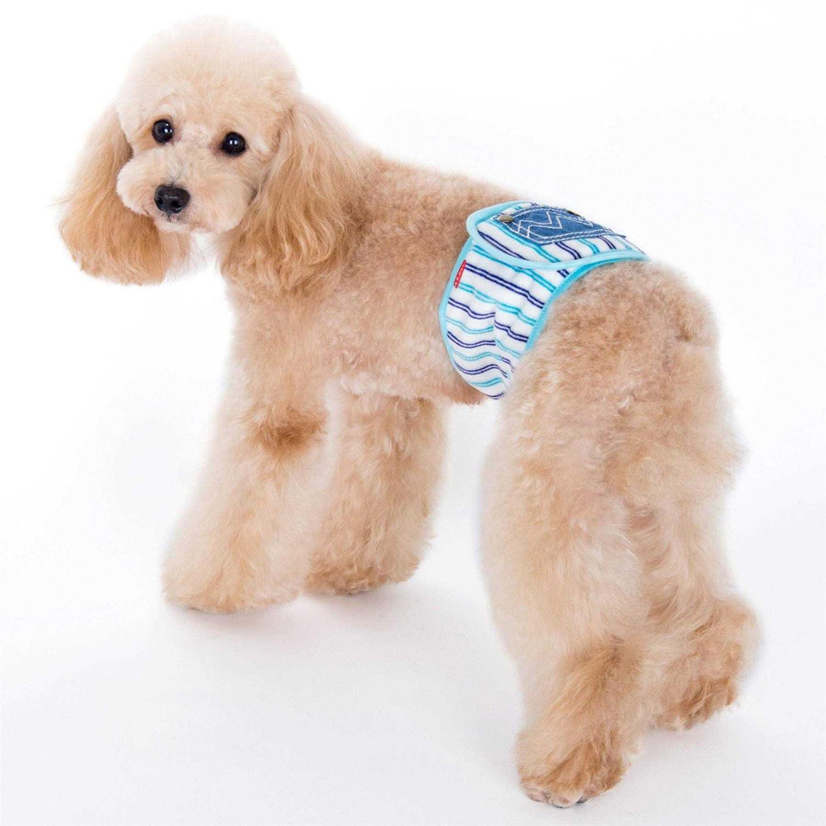 Pet Belly Band R8124